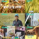 대박우리농산물