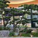 늘푸른소나무약국 이미지