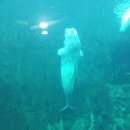 엑스포안경원 이미지