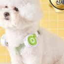 털찐강아지 이미지