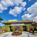 익산 천만송이 국화축제(2023. 10. 20.) 이미지