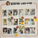 도도한 개냥이 | 카페 데이트 코스 추천 1인 10000원의 행복 고양이한테 간택 당한 내돈내산 후기 "집사의하루 노원점"