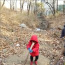 숲아이유치원 이미지