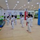 타이탄 히어로즈 태권도 이미지