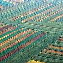 옛고구려 이미지