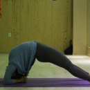 Red휘트니스 이미지