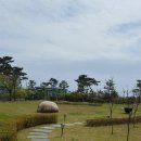 해돋이조경