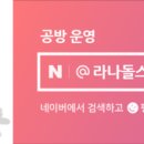라나돌스아카데미