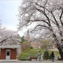 충남역사박물관 이미지