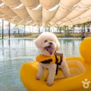 석탑세탁소 이미지