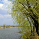 삼락생태공원 이미지