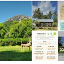 땅끝두륜산펜션민박 이미지