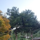 봉오재공원 이미지