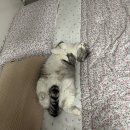 행복8