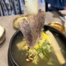 영종도 레일바이크 맛집 궁중왕갈비탕 든든한 애견동반 식사 후기