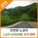 진안공인중개사사무소 이미지