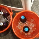 영농돼지후계자 이미지