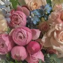 무무플라워 이미지