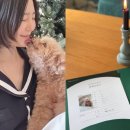 신다은 카카오 검색결과