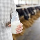﻿HOT ISSUE_식물성 대체음료 명칭, '우유'가 아닌 '음료'로 이미지