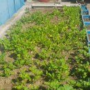 밥먹고가유 이미지