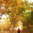 목동동로6길 이미지