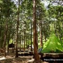 휴양림펜션 이미지