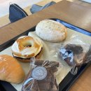 경림농장 | [이천 더반올가닉 카페] 블루베리 디저트가 맛있는 대형 베이커리 카페 / 이천 대형 카페 추천