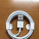 [ 다운타운 ] 애플정품 USB 라이트닝 케이블 팔아요 $15 이미지