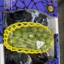 송산농장 이미지