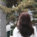 공단서울치과의원 이미지