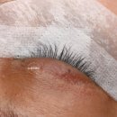 눈썹정원사 이미지