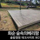 외길농장 | 화순 캠핑장 숲속의베리팜 솔밭캠핑 데크사이트 후기