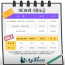 모나용평 평창 애니포레 모노레일 알파카 숲길여행