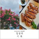 중인초등학교 | 일상포토덤프 알차게 보낸 7월 셋째 주 기록