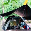 소나무숲아래 이미지