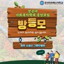 사회복지학과 방등모(11/2) 안내 이미지