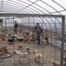 백향목약국 이미지