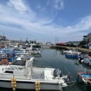 함덕어촌정주어항 이미지