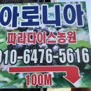 New탑공인중개사사무소 이미지