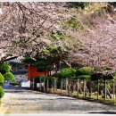 화지청소년문화회관 이미지