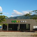 농업회사법인 레드애플팜(주)