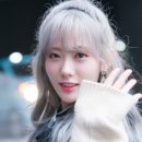 백하 Daum카페