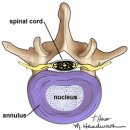 365탄탄한의원 이미지