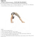 애니핏짐 이미지