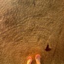 ER-1[경부고속도로]-하-102 | 24.11.20) 아이슬란드_레이캬비크 뚜벅이 여행 8일차 // 빵집 &amp; 쇼핑 &amp; 바다 보이는 온천 &amp; Perlan