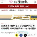 대한적십자사 강원특별자치도지사 바다봉사회 짜장면 데이와 강원일보 홈페이지 게재 이미지