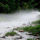 하얀물안개 이미지