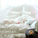 솔솔리조트 이미지