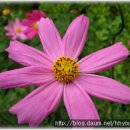 낙동강변2 이미지